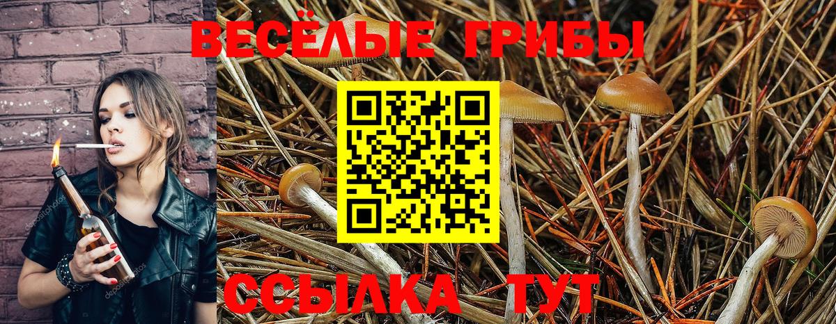 Псилоцибиновые грибы Magic Shrooms Рузаевка