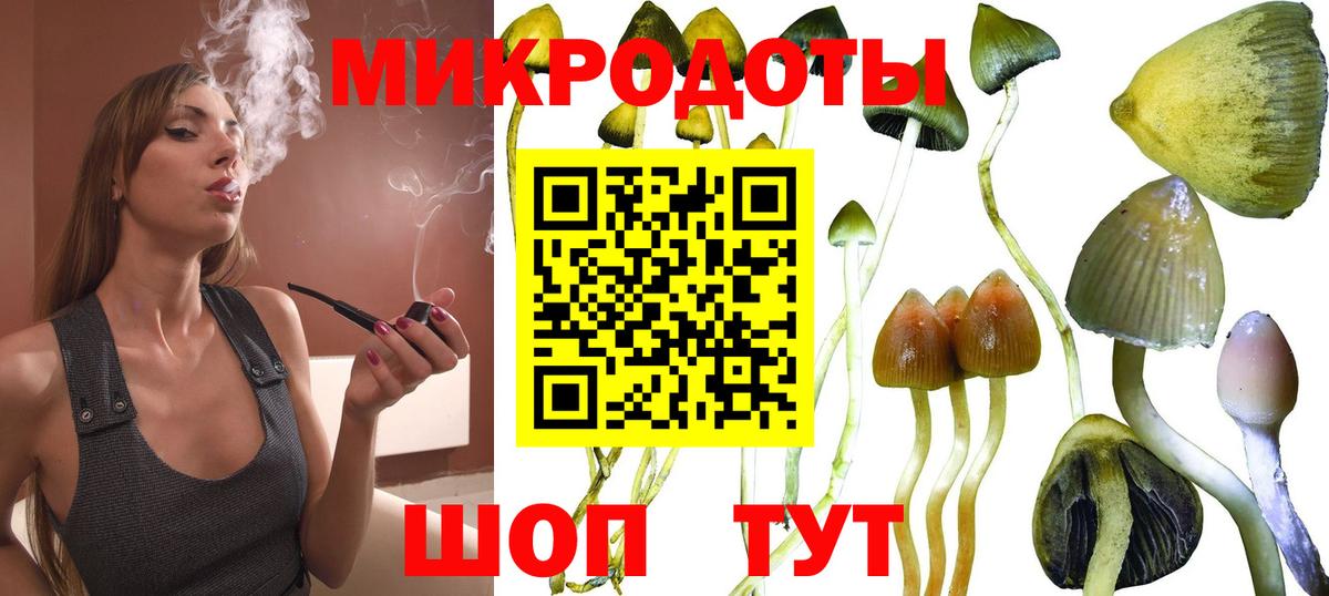 Рузаевка  Псилоцибиновые грибы MAGIC MUSHROOMS  Вход с VPN 